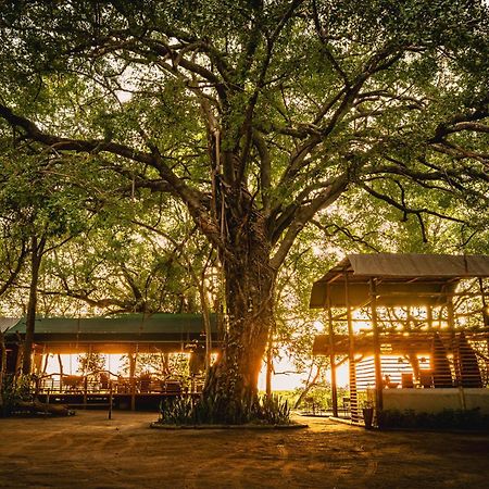 Askiesbos - Samochima Bush Camp Shakawe Екстер'єр фото