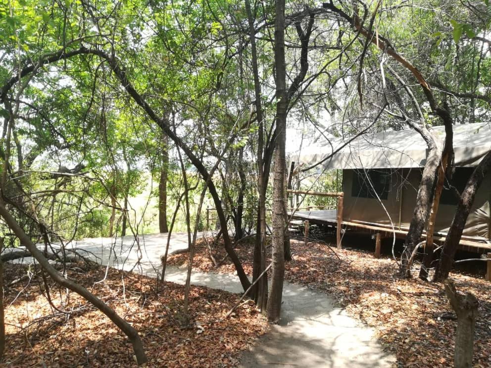 Askiesbos - Samochima Bush Camp Shakawe Екстер'єр фото