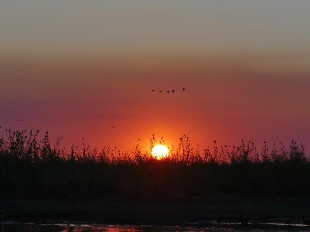 Askiesbos - Samochima Bush Camp Shakawe Екстер'єр фото