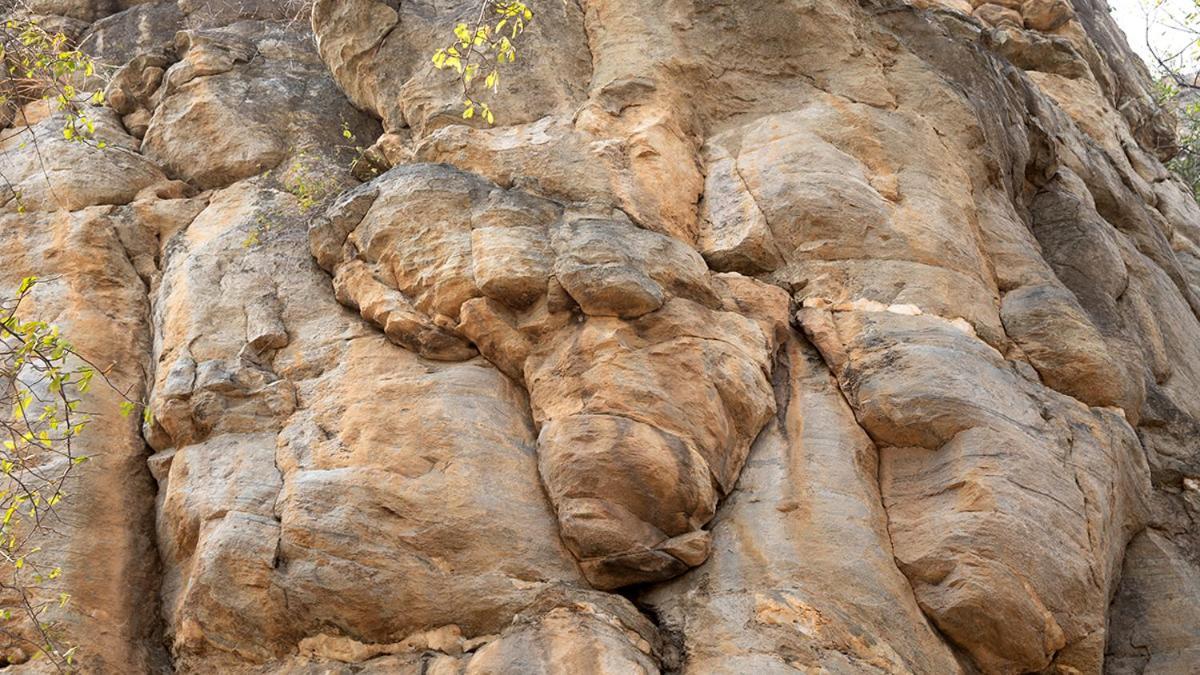 Askiesbos - Samochima Bush Camp Shakawe Екстер'єр фото
