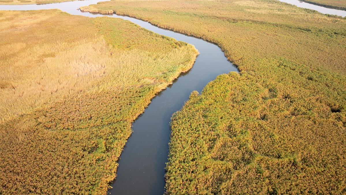 Askiesbos - Samochima Bush Camp Shakawe Екстер'єр фото