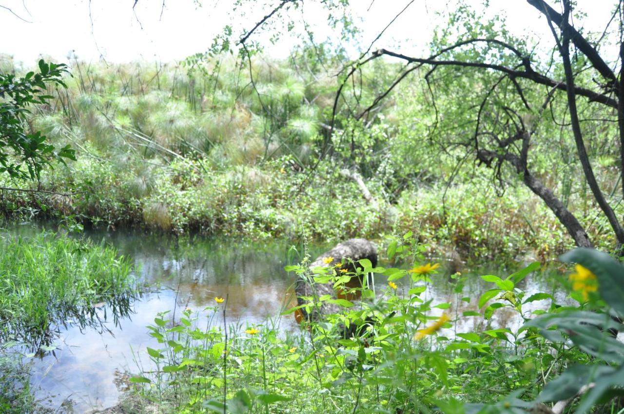 Askiesbos - Samochima Bush Camp Shakawe Екстер'єр фото